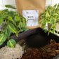 Worm Castings