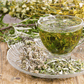 Wormwood – 200 Seeds