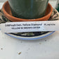 Dendrobium Yellow Diamond Orchid | Yellow Flowers with Brown Center | Rare Collector Orchid | Exclusive One-of-a-Kind