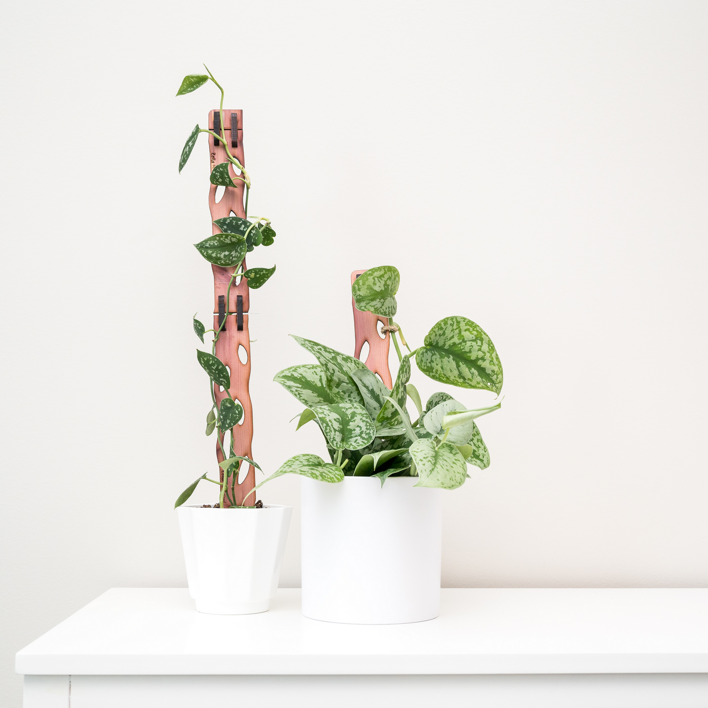 Zella - Wooden Extendable Plant Support