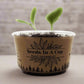 Beans | Plant Seed Starter Grow Kit | Seeds In A Cup®