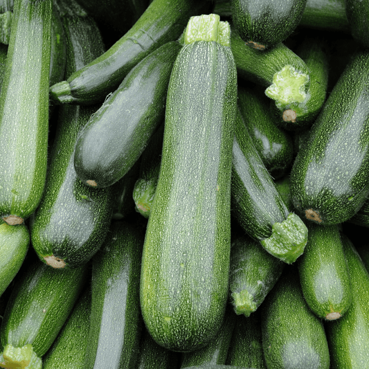 Black beauty Zucchini Seeds